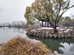 -无锡蠡湖国家湿地公园-蠡园