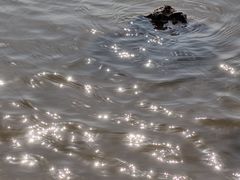 -vivo官方授权体验店(朝阳合生汇店)