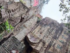 -铁山坪森林公园