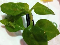 iphone_upload_pic-江宁会馆(劈柴院店)