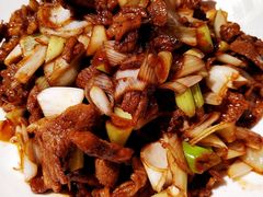 老妈葱爆羊肉-十六中酱肉·烧烤·京菜小馆(五方桥旗舰店)