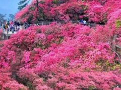 -木兰云雾山
