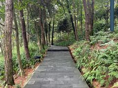 -铁山坪森林公园