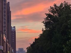 -大虎重庆老火锅(正弘城店)