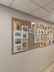 -杭州贝瑞斯美华妇儿医院·早孕·产检·儿科