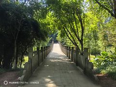 -重庆彩云湖湿地公园