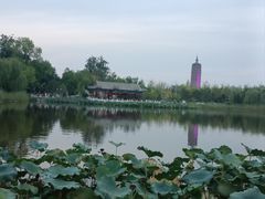 -西海子公园