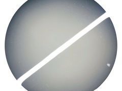 醪糟清酒-汪爹爹武汉牛三鲜(朝外大街店)