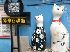 -猫咪博物馆(顶澳仔猫街店)