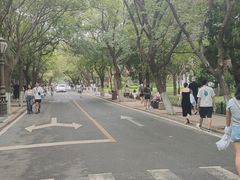 -八大关景区