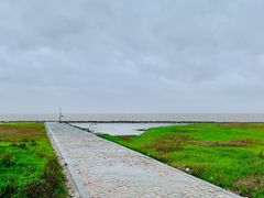 -南汇嘴观海公园
