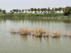 -南大港湿地风景区