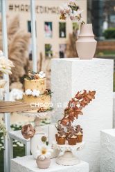 -CHOCO-启蔻婚礼(三亚公司)