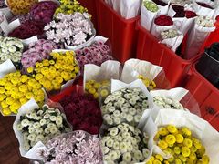-自由生长植物工作室(深港花卉中心店)