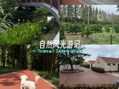 -上海长兴岛郊野公园