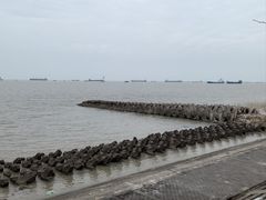 -上海滨江森林公园
