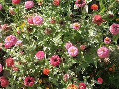 -杜氏旅游度假区