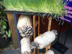 -大院小院传统火锅·小酒馆(北城天街店)