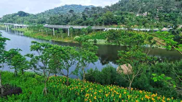 东坪山水库-"人间美景,慢慢走,慢慢欣赏!天气和景."-大众点评移动版