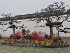 -松鹤楼(山塘街店)