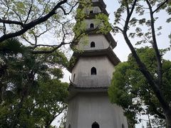 -江心屿景区