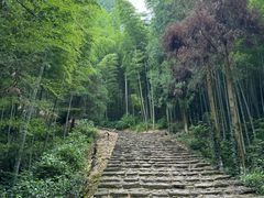 -仙霞关景区