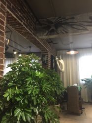 picture-P.STYLE 派斯造型