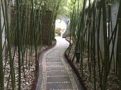 -台儿庄古城