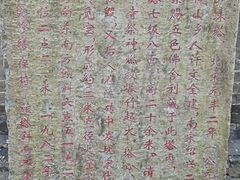 -上海佘山国家森林公园天马山园