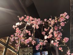 -老板恋上鱼(印象城店)