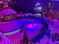 -世界之窗阿尔卑斯冰雪世界