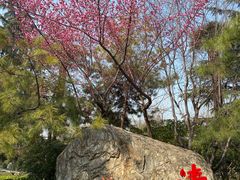 -莲湖公园