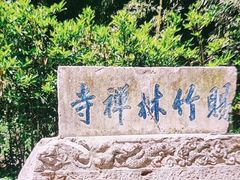 -镇江市南山风景名胜区竹林景区