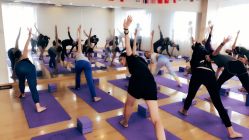 -亚太瑜伽普拉提学院