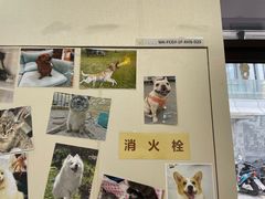 -爱妮康宠物医院·干细胞免疫细胞·肿瘤·心脏(张江店)