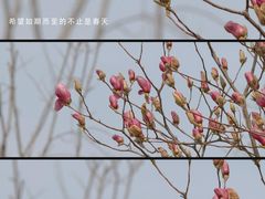 -三里河公园