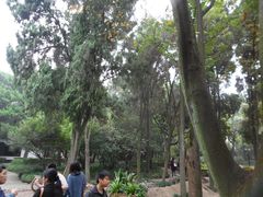 景点-汇龙潭