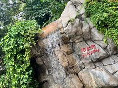 -九龙公园