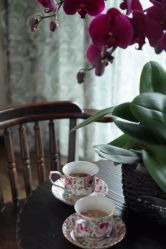 -源素美容养生会所