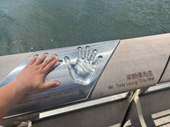 -星光大道