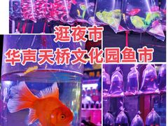 -华声天桥民俗文化园