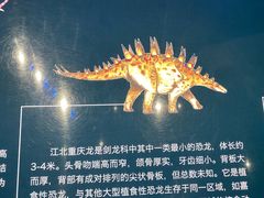 -重庆自然博物馆(新馆)