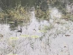 -哈尔滨大剧院