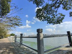 -无锡蠡湖国家湿地公园-蠡园