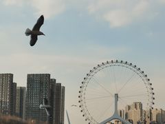 -天津之眼摩天轮