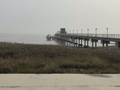 -seeu coffee(江滩店)