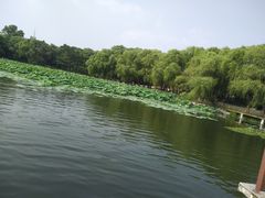 -长春市南湖公园