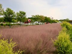 -嘉北郊野公园