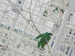 -证大喜玛拉雅中心