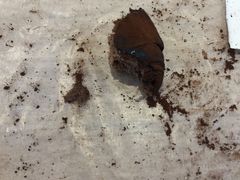 -执茶识麦(万达华府店)